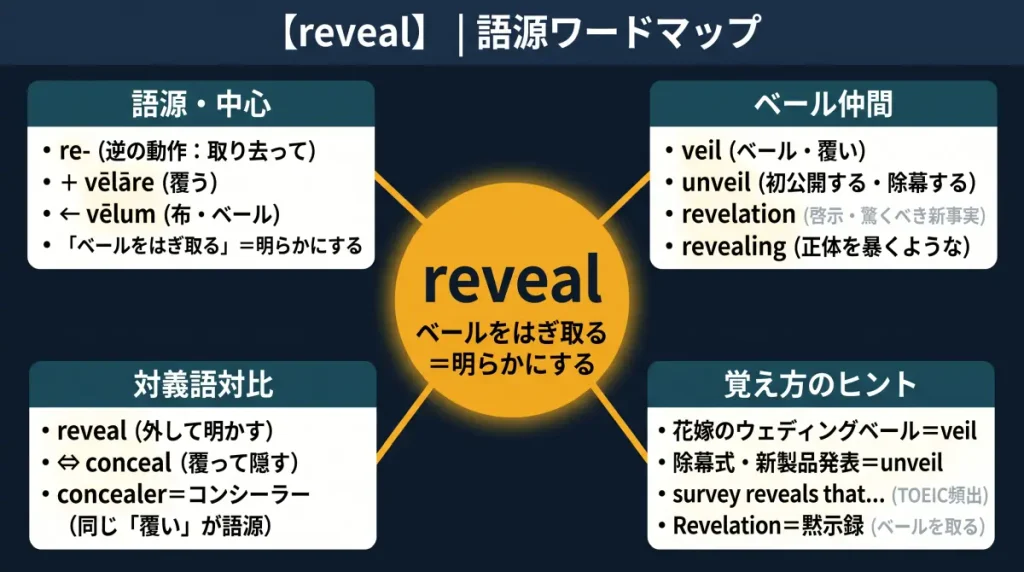 reveal の語源ワードマップ。中心は reveal(=ベールをはぎ取る=明らかにする)で、re-(逆の動作:取り去って)+ vēlāre(覆う:vēlum ベール由来)に分解。ベール仲間(veil / unveil / revelation / revealing)、対義語対比(reveal vs conceal:コンシーラーと同語源)、覚え方のヒント(ウェディングベール・除幕式・TOEIC頻出フレーズ・黙示録)の4クラスタに整理した図。