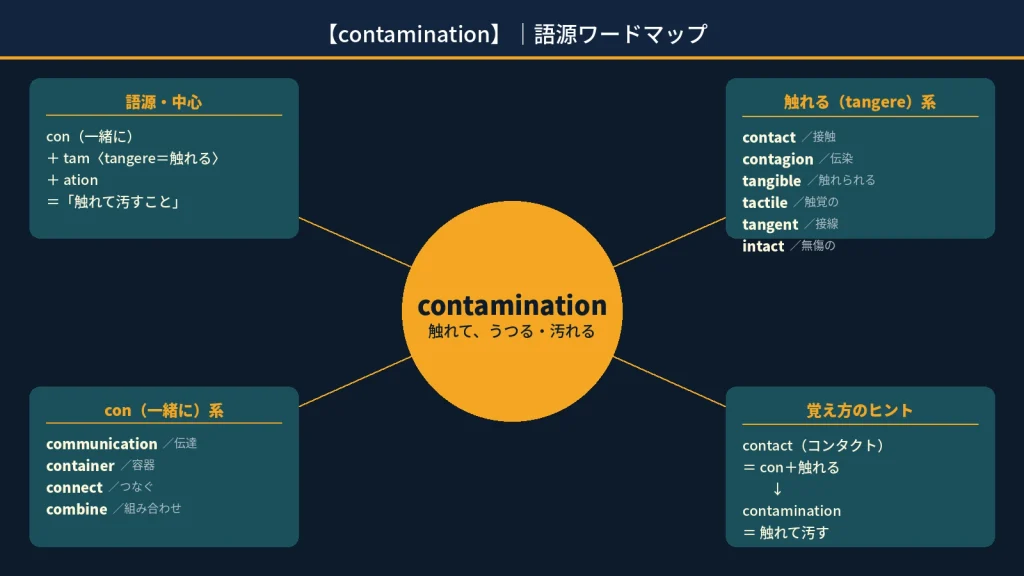 contamination の語源ワードマップ。中心は contamination（＝触れて、うつる・汚れる）で、con（一緒に）＋ tam〈tangere＝触れる〉＋ ation に分解。触れる（tangere）系（contact / contagion / tangible / tactile / tangent / intact）、con（一緒に）系（communication / container / connect / combine）、覚え方のヒント（コンタクト＝触れる → contamination＝触れて汚す）の4クラスタに整理した図。
