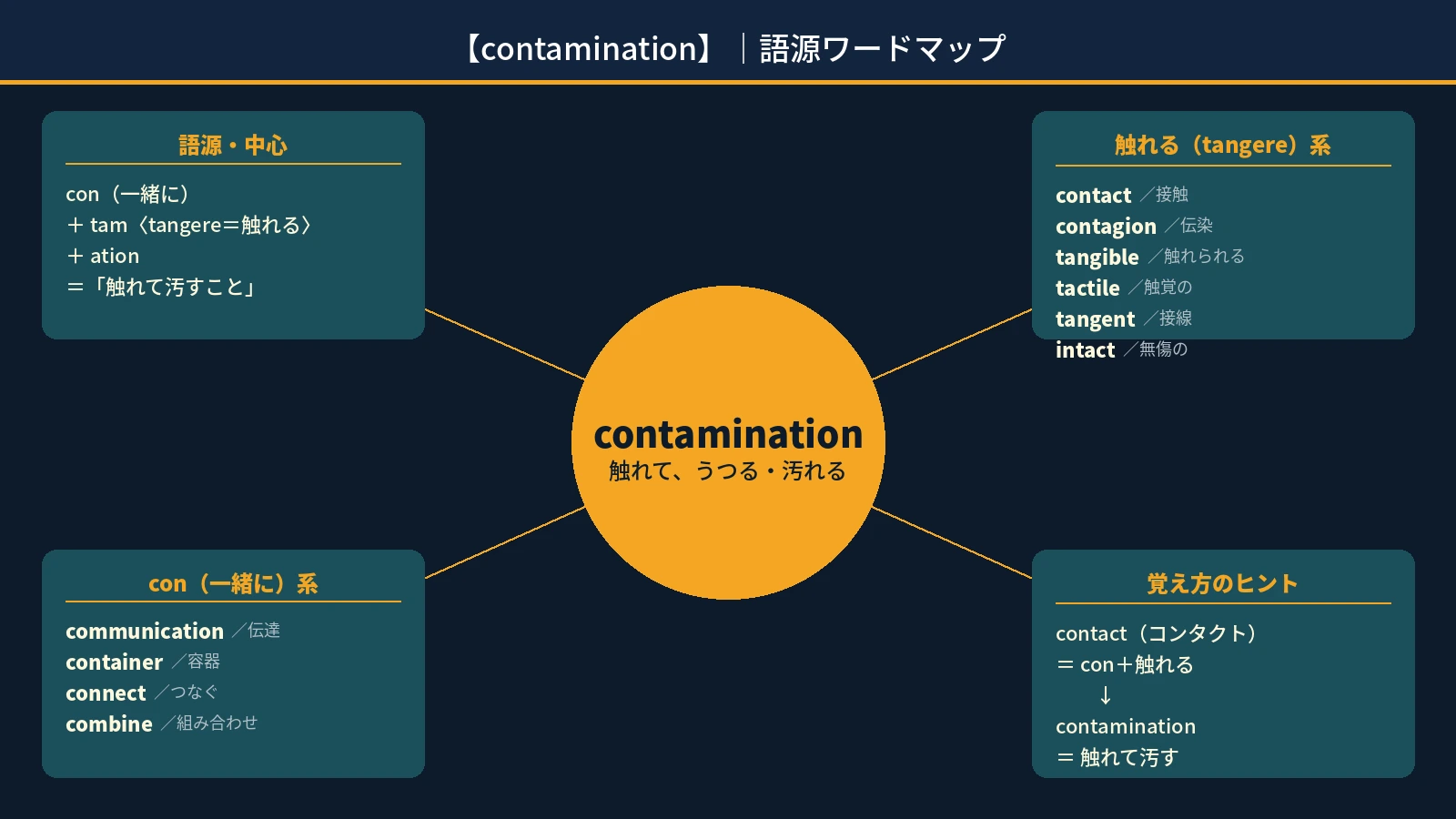 【語源で覚える】contamination｜"コンタクト"と同じ、真ん中は触れる（tangere）