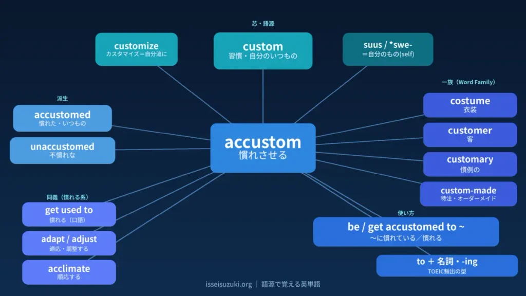 accustomの語源ワードマップ。中心にaccustom（慣れさせる）、語源の芯にcustom（習慣・自分のいつものやり方）とcustomize（カスタマイズ＝自分流に）、同族としてcostume・customer・customary・custom-made、派生語のaccustomed・unaccustomed、同義のget used to・adapt・acclimate、使い方be/get accustomed to ～を配置した青基調の図。