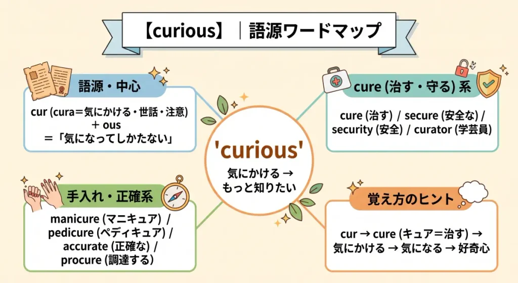 curious の語源ワードマップ。中心は curious（＝気にかけて、もっと知りたい）で、cur（cura＝気にかける・世話）＋ous に分解。覚え方の手がかり（cur→cure＝キュア）、cure（治す・守る）系（cure / secure / security / curator）、手入れ・正確系（manicure / pedicure / accurate / procure）の各クラスタに整理した図。