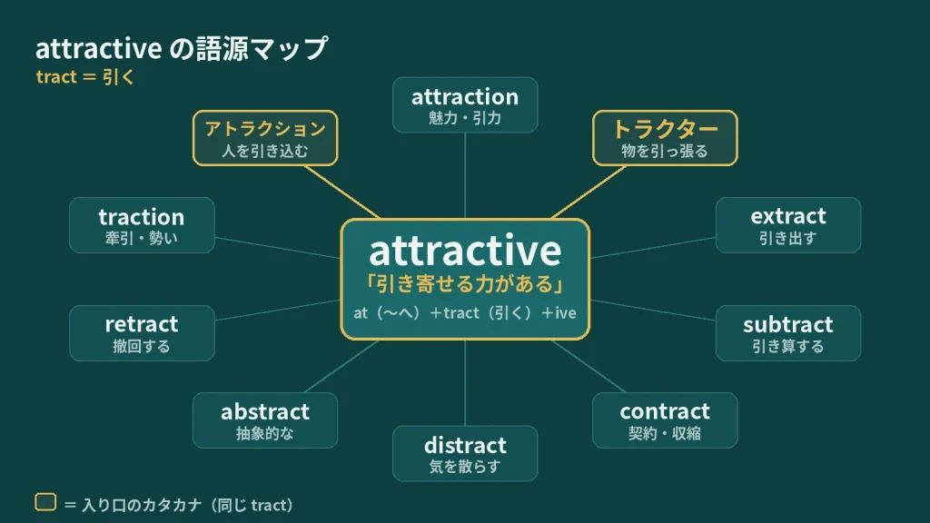 attractive の語源ワードマップ。中心は attractive（＝引き寄せる力がある）で、at（〜へ）＋tract（引く）＋ive に分解。入り口のカタカナ（アトラクション／トラクター）と、tract（引く）一族（attraction / extract / subtract / contract / distract / abstract / retract / traction）を整理した図。