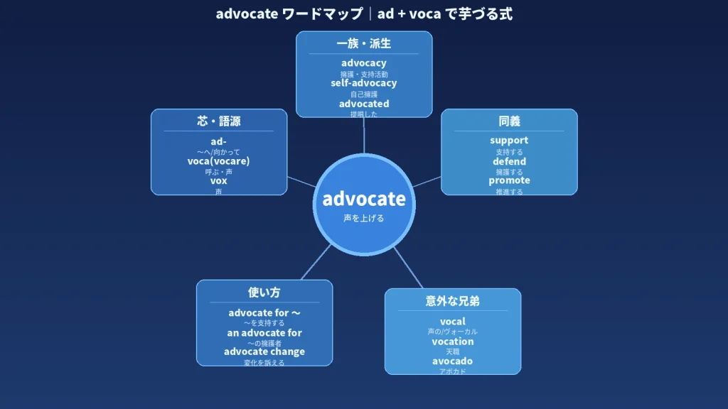 advocate のワードマップ。中心に「advocate(声を上げる)」を置き、五方向に語彙を放射状に配置。「芯・語源」に ad-(〜へ/向かって)・voca(vocare 呼ぶ・声)・vox(声)、「一族・派生」に advocacy・self-advocacy・advocated、「同義」に support・defend・promote、「使い方」に advocate for 〜・an advocate for・advocate change、「意外な兄弟」に vocal(声の/ヴォーカル)・vocation(天職)・avocado(アボカド)を示す青基調の図解。