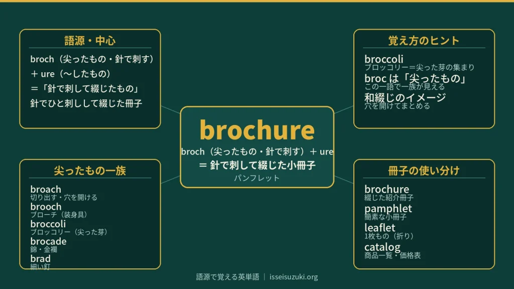brochure の語源ワードマップ。中心は brochure(=針で刺して綴じた小冊子)で、broch(尖ったもの・針で刺す)+ure に分解。覚え方のヒント(broccoli=尖った芽の集まり/broc は尖ったもの)、尖ったもの一族(broach・brooch・broccoli・brocade・brad)、冊子の使い分け(brochure・pamphlet・leaflet・catalog)の4つに整理した図。