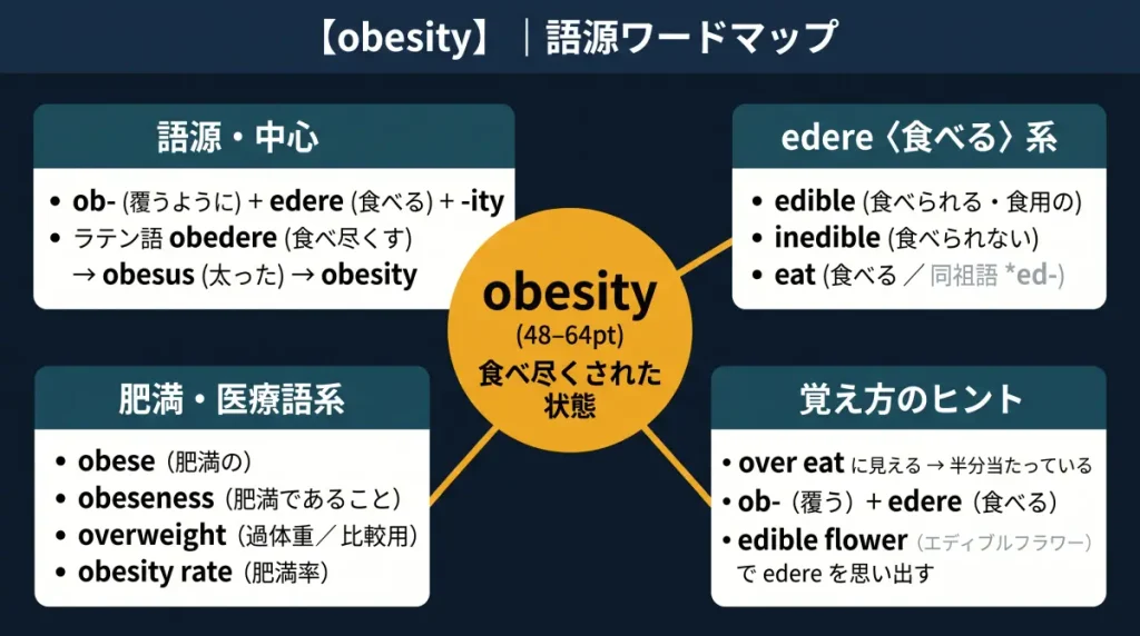obesity の語源ワードマップ。中心は obesity(=食べ尽くされた状態)で、ob-(覆うように)+ edere(食べる)+ -ity に分解。覚え方のヒント(over eat に見える→半分当たっている/edible flower で edere を思い出す)、edere〈食べる〉系(edible / inedible / eat)、肥満・医療語系(obese / obeseness / overweight / obesity rate)の4クラスタに整理した図。
