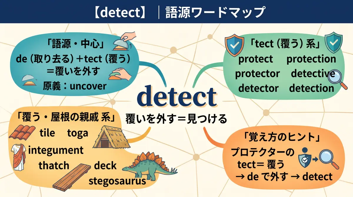 【語源で覚える】detect｜プロテクターの "tect" を、de で外すだけ