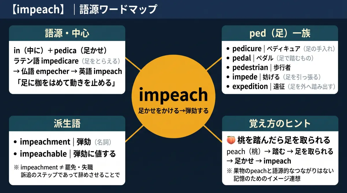 【語源で覚える】impeach｜🍑 桃を踏んだら、なぜ弾劾になる？