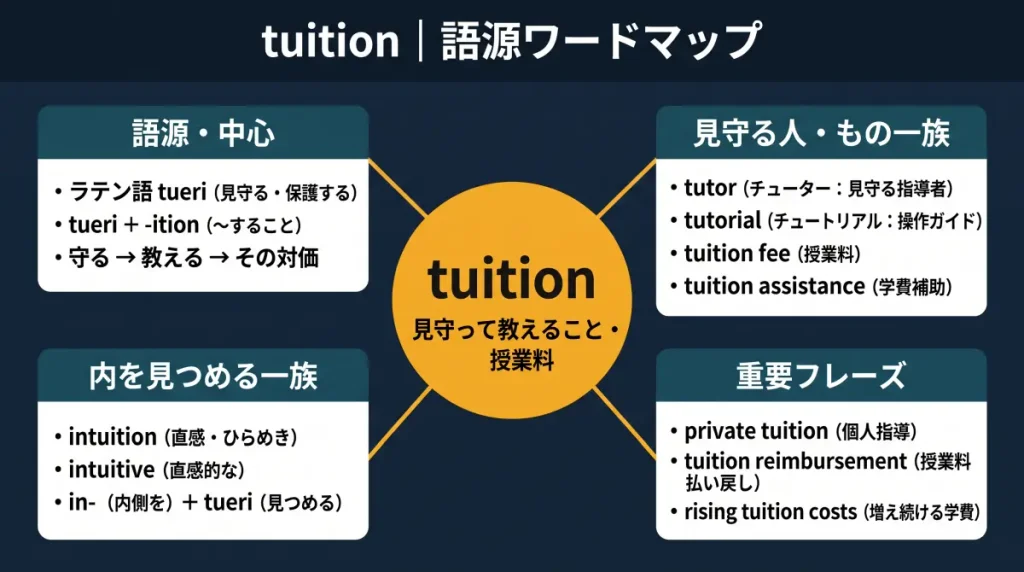 tuition の語源ワードマップ。中心は tuition(=見守って教えること・授業料)で、ラテン語 tueri(見守る・保護する)+ -ition に分解。「語源・中心」(tueri の意味と守る→教える→対価の流れ)、「見守る人・もの一族」(tutor/tutorial/tuition fee/tuition assistance)、「内を見つめる一族」(intuition/intuitive/in-+tueri の構造)、「重要フレーズ」(private tuition/tuition reimbursement/rising tuition costs)の4クラスタに整理した図。