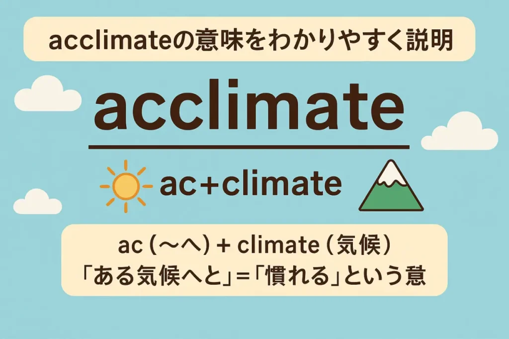 acclimate の意味を語源からわかりやすく解説!「気候へ順応する」で覚える英単語記憶術