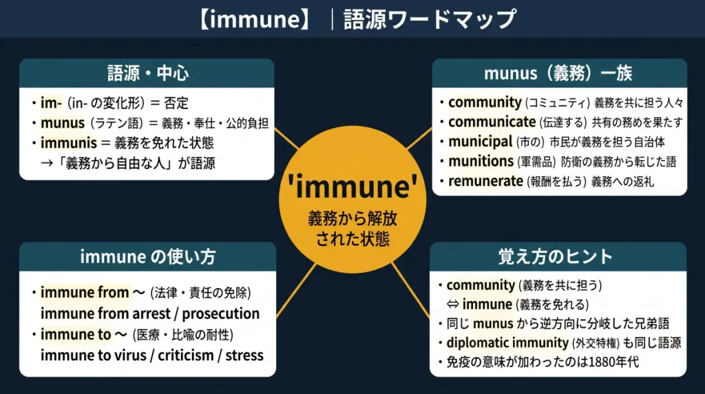 immune の語源ワードマップ。中心は immune（＝義務から解放された状態）で、im-（否定）＋ munus（義務・奉仕）に分解。語源・中心（immunis の成り立ちと意味変遷）、munus（義務）一族（community / communicate / municipal / munitions / remunerate）、immune の使い方（immune from / immune to の使い分けと例）、覚え方のヒント（community との対比・diplomatic immunity・1880年代の意味拡張）の4クラスタに整理した図。