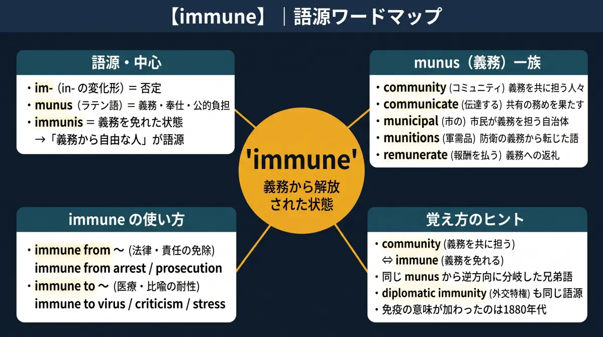 【語源で覚える】immune｜あの community と、同じ語源だった？