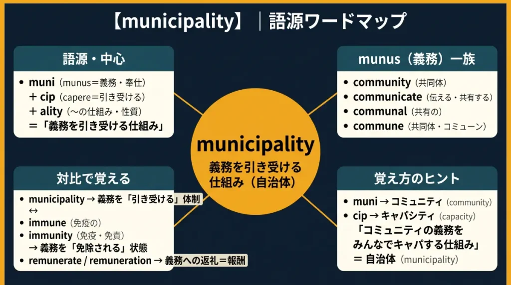 municipality の語源ワードマップ。中心は municipality(=義務を引き受ける仕組み・自治体)で、muni(munus=義務・奉仕)+ cip(capere=引き受ける)+ ality に分解。munus(義務)一族(community / communicate / communal / commune)、対比クラスター(municipality 義務を引き受ける ↔ immune / immunity 義務を免除される、報酬系 remunerate / remuneration)、覚え方のヒント(muni → コミュニティ|cip → キャパシティ)の4クラスタに整理した図。