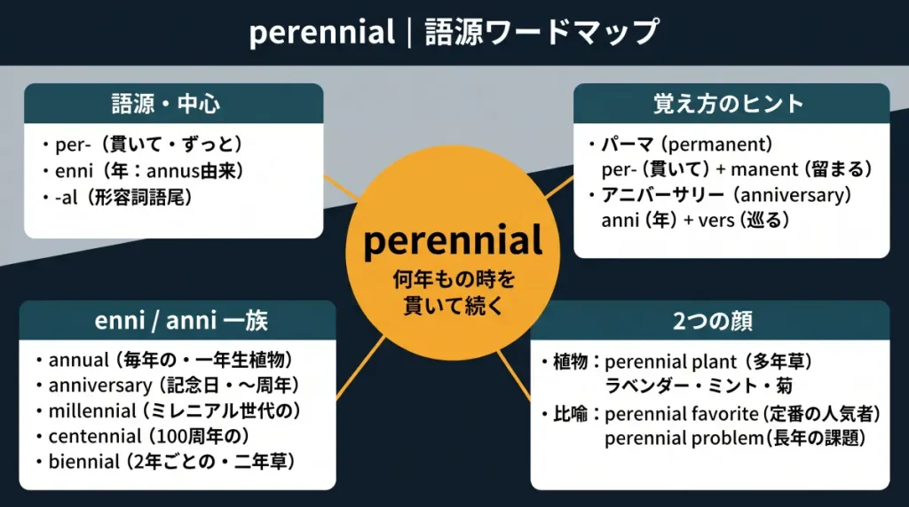 perennial の語源ワードマップ。中心は perennial（何年もの時を貫いて続く）で、per-（貫いて・ずっと）＋ enni（年：annus由来）＋ -al に分解。覚え方のヒント（パーマ＝permanent／アニバーサリー＝anniversary）、enni / anni 一族（annual／anniversary／millennial／centennial／biennial）、2つの顔（植物：perennial plant＝多年草、比喩：perennial favorite＝定番の人気者）の4クラスタに整理した図。