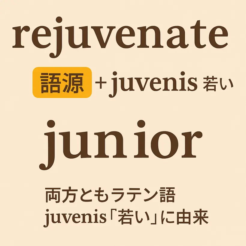 rejuvenateの意味をわかりやすく説明 一夜漬け英単語記憶術 語源
