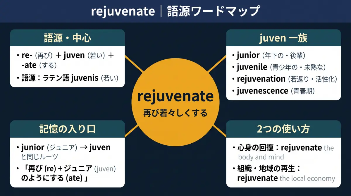 【語源で覚える】rejuvenate｜「ジュニア（junior）」に戻る？「若返らせる・活性化する」の語源