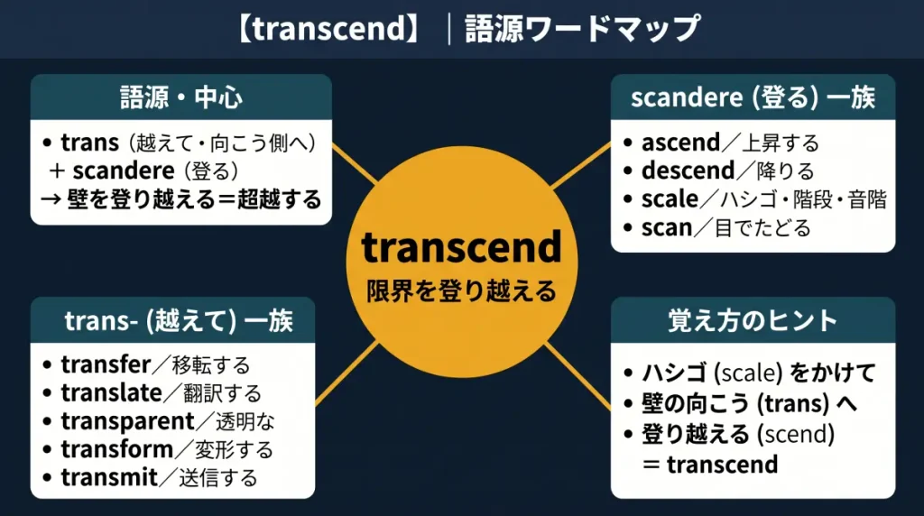 transcend の語源ワードマップ。中心は transcend(=限界を登り越える)で、trans(越えて)+ scandere(登る)に分解。scandere 一族(ascend/descend/scale/scan)と trans- 一族(transfer/translate/transparent/transform/transmit)、覚え方のヒント(ハシゴをかけて壁の向こうへ登り越える)の4クラスタに整理した図。