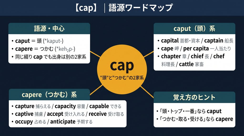 cap の語源ワードマップ。中心は cap で、caput(頭)と capere(つかむ)という別々の2家系に分かれることを示す図。caput(頭)系に capital・captain・cape・per capita・chapter・chief・chef・cattle、capere(つかむ)系に capture・capacity・capable・captive・accept・receive・occupy・anticipate を整理。覚え方のヒントとして「頭・トップ」なら caput、「つかむ・受ける」なら capere と示している。