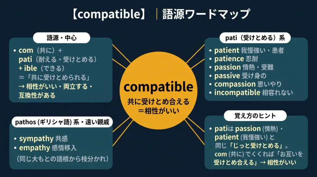 compatible の語源ワードマップ。中心は compatible（＝共に受けとめ合える・相性がいい）で、com（共に）＋pati（受けとめる）＋ible に分解。pati（受けとめる）系（patient / patience / passion / passive / compassion / incompatible）、pathos系の遠い親戚（sympathy / empathy）、覚え方のヒントの4クラスタに整理した図。