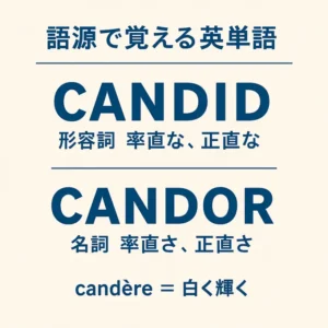 【語源で覚える英単語】candidとcandorの違いとは?意味・使い方をやさしく解説|正直さを表すラテン語の力