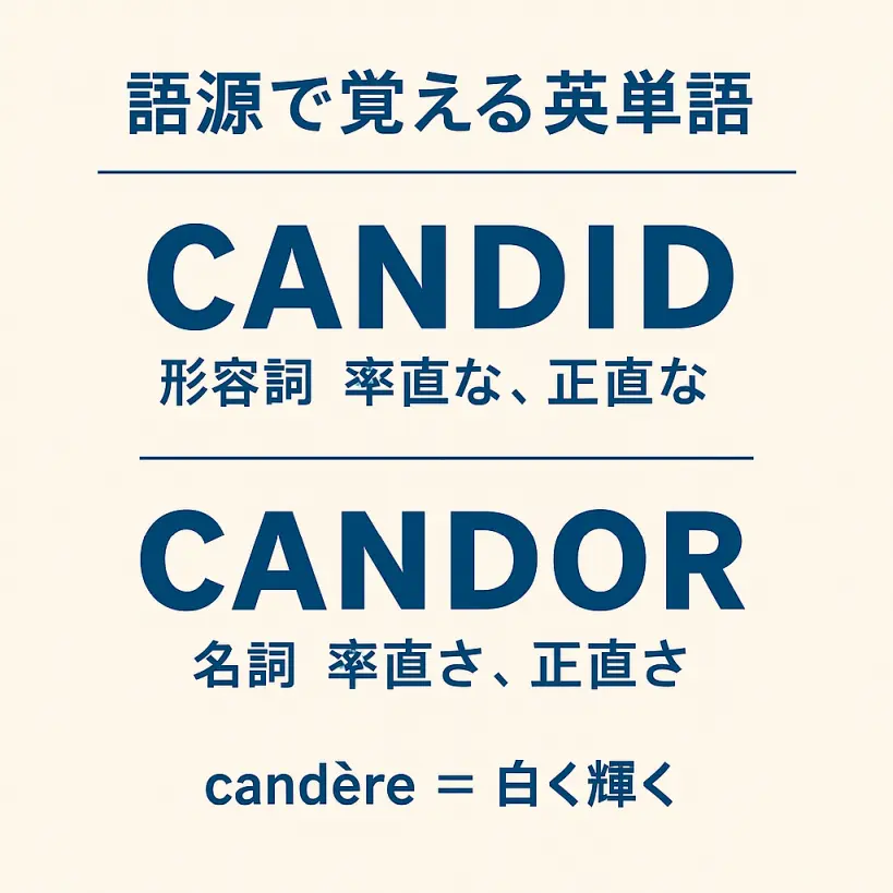 【語源で覚える英単語】candidとcandorの違いとは?意味・使い方をやさしく解説|正直さを表すラテン語の力