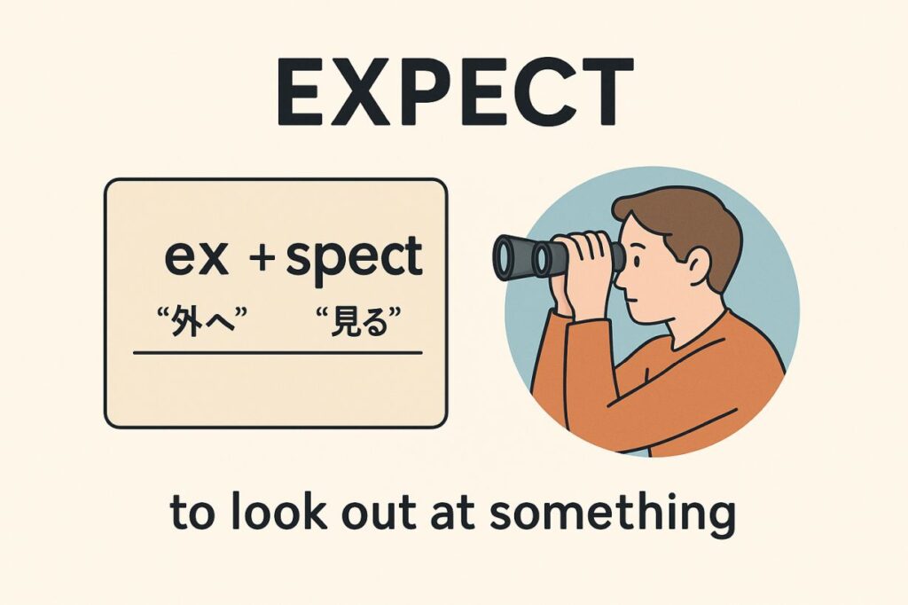 expect の意味を語源からわかりやすく解説!「遠くを見て待つ」で一夜漬け英単語記憶術