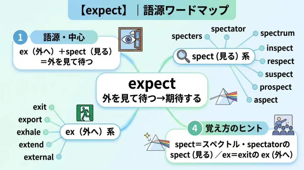 expect の語源ワードマップ。中心は expect(=外を見て待つ→期待する・予期する)で、ex(外へ)+spect(見る)に分解。覚え方のヒント(spect=スペクトル・spectator の spect、ex=exit の ex)、spect(見る)一族(spectator / spectrum / inspect / respect / suspect / prospect / aspect)、ex(外へ)一族(exit / export / exhale / extend / external)の4クラスタに整理した図。