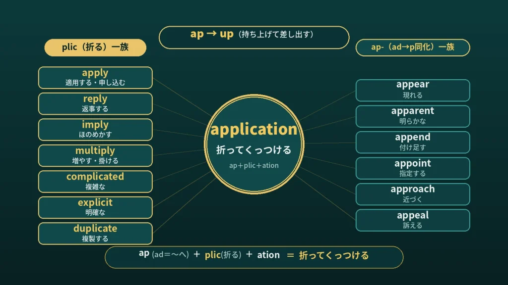 application の語源ワードマップ。中心は application（＝折ってくっつける）で、ap（ad＝〜へ）＋plic（折る）＋ation に分解。覚え方フック（ap→up）、plic（折る）一族（apply／reply／imply／multiply／complicated／explicit／duplicate）、ap-（ad→p同化）一族（appear／apparent／append／appoint／approach／appeal）の3クラスタに整理した図。