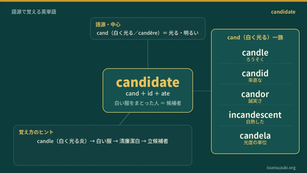candidate の語源ワードマップ。中心は candidate（＝白い服をまとった人＝候補者）で、cand（白く光る／candēre）＋id＋ate に分解。覚え方のヒント（cand→candle 白く光る炎→白い服→清廉潔白→立候補者）と、cand（白く光る）一族（candle / candid / candor / incandescent / candela）を整理した図。