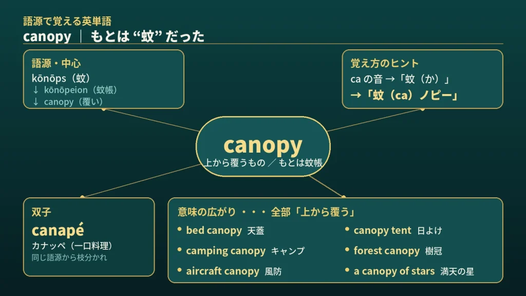 canopy の語源ワードマップ。中心は canopy（＝上から覆うもの、もとは蚊帳）。ギリシャ語 kōnōps「蚊」→ kōnōpeion「蚊帳付きの寝台」から育った流れと、覚え方のヒント（ca の音を「蚊」に重ねる）、意味の広がり（bed canopy / canopy tent / camping canopy / forest canopy / aircraft canopy / a canopy of stars）、双子の canapé（カナッペ）を整理した図。