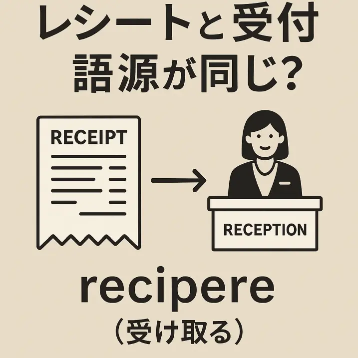 「レシート」と「受付」は語源が同じ?英語の“reception”と“receipt”と“receive”の意外な関係