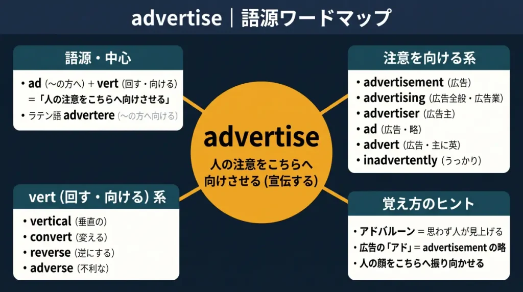 advertise の語源ワードマップ。中心は advertise（＝人の注意をこちらへ向けさせる・宣伝する）で、ad（〜の方へ）＋ vert（回す・向ける）に分解しています。語源・中心（ラテン語 advertere）、注意を向ける系（advertisement／advertising／advertiser／ad／advert／inadvertently）、vert（回す・向ける）系（vertical／convert／reverse／adverse）、覚え方のヒント（アドバルーン＝思わず人が見上げる）の4クラスタに整理した図です。
