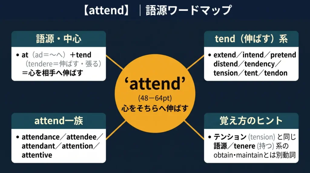 attend の語源ワードマップ。中心は attend(=心をそちらへ伸ばす)で、at(ad=〜へ)+tend(tendere=伸ばす・張る)に分解。tend(伸ばす)一族(extend / intend / pretend / distend / tendency / tension / tent / tendon)、attend一族(attendance / attendee / attendant / attention / attentive)、覚え方のヒント(テンションと同じ語源、tenere〈持つ〉系との違い)の4クラスターに整理した図。