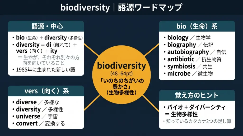 biodiversity の語源ワードマップ。中心は biodiversity(=いのちのちがいの豊かさ・生物多様性)で、bio(生命)+diversity(di+vers+ity=別々の方向を向くこと)に分解。語源・中心、bio(生命)系(biology / biography / autobiography / antibiotic / symbiosis / microbe)、vers(向く)系(diverse / diversity / universe / convert)、覚え方のヒント(バイオ+ダイバーシティ)の4クラスタに整理した図。