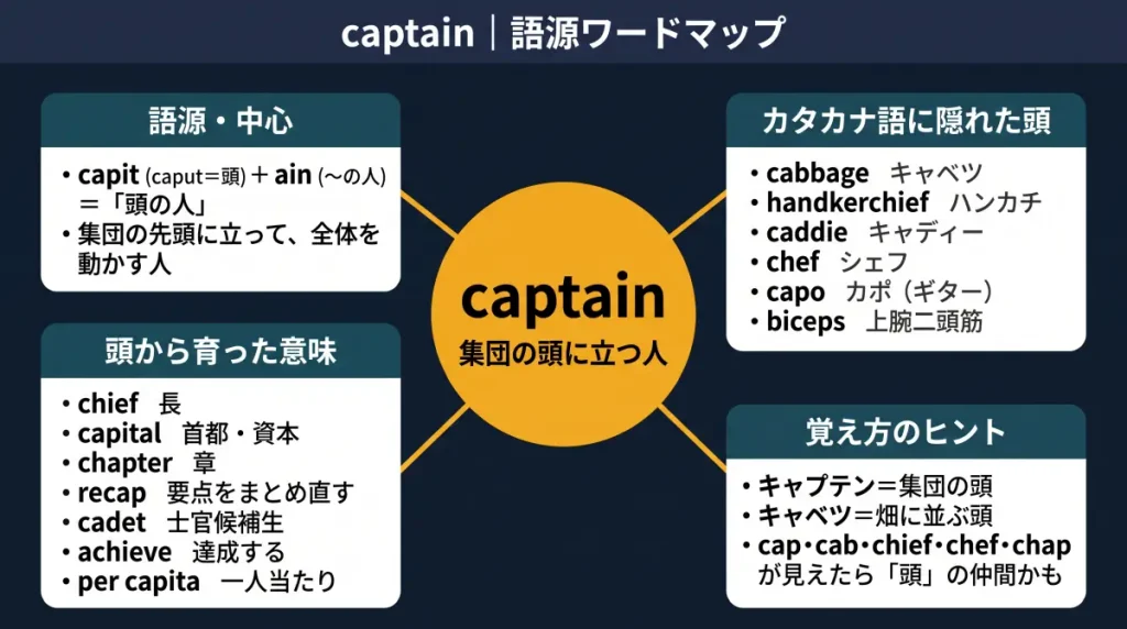 captain の語源ワードマップ。中心は captain(=集団の頭に立つ人)で、capit(caput=頭)+ain(〜の人)に分解。語源・中心、カタカナ語に隠れた頭(cabbage キャベツ / handkerchief ハンカチ / caddie キャディー / chef シェフ / capo カポ / biceps 上腕二頭筋)、頭から育った意味(chief / capital / chapter / recap / cadet / achieve / per capita)、覚え方のヒント(cap・cab・chief・chef・chap が見えたら「頭」の仲間)の4クラスタに整理した図。