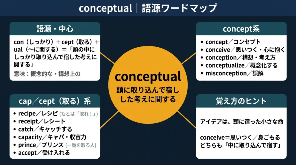 conceptual の語源ワードマップ。中心は conceptual（＝頭に取り込んで宿した考えに関する）で、con（しっかり）＋cept（取る）＋ual に分解。concept系（concept / conceive / conception / conceptualize / misconception）、cap／cept（取る）系（recipe / receipt / catch / capacity / prince / accept）、覚え方のヒント（アイデアは頭に宿った小さな命）の4クラスタに整理した図。