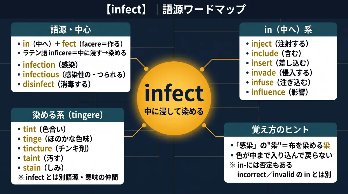 【語源で覚える】infect｜「感染」の"染"は、布を染めるの染だった
