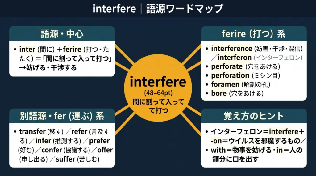 interfere の語源ワードマップ。中心は interfere（＝間に割って入って打つ）で、inter（間に）＋ferire（打つ）に分解。ferire（打つ）一族（interference / interferon / perforate / perforation / foramen / bore）、別語源の fer（運ぶ）一族（transfer / refer / infer / prefer / confer / offer / suffer）、覚え方のヒント（インターフェロン＝ウイルスを邪魔するもの、with／inの使い分け）の4クラスタに整理した図。