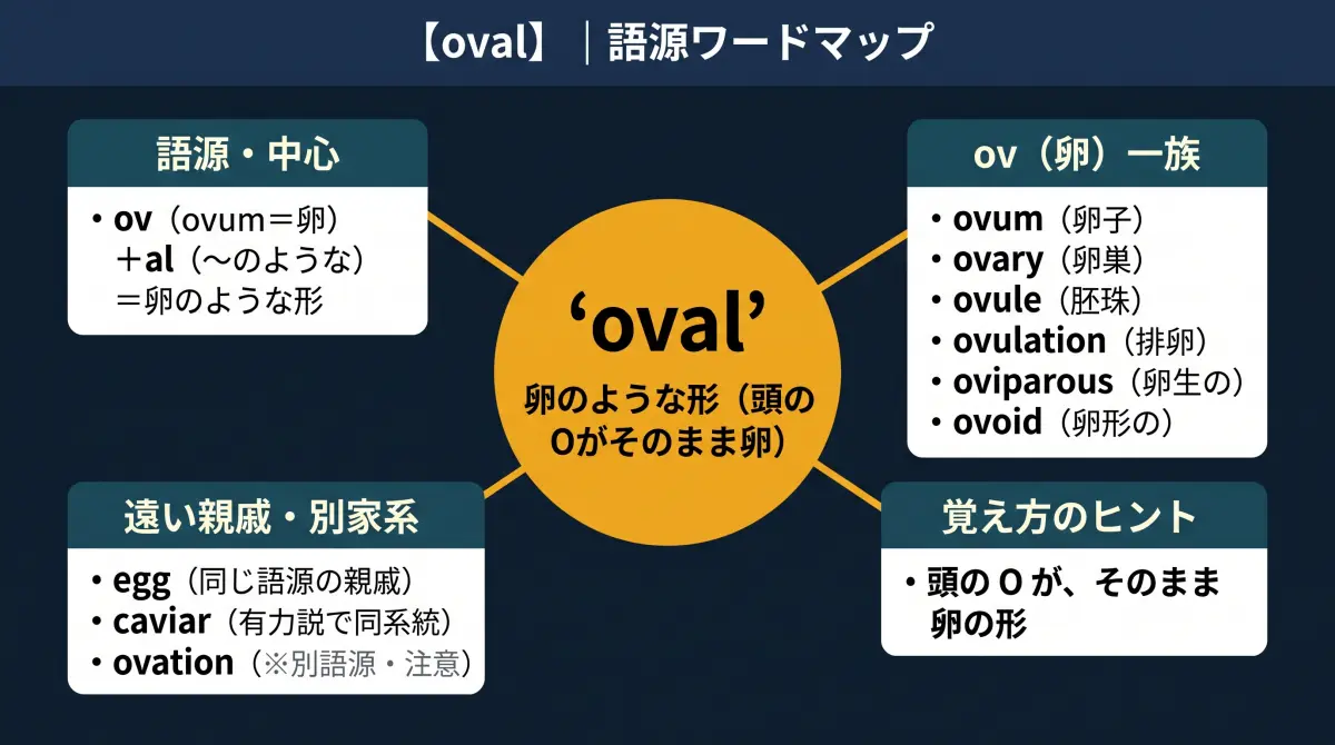 【語源で覚える】oval｜頭の O が、そのまま卵だった
