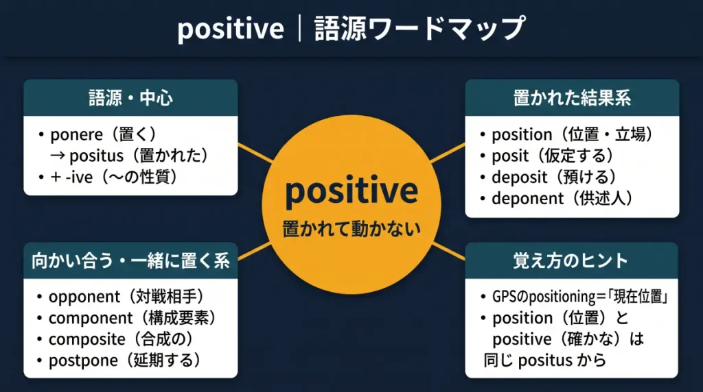 positiveの語源ワードマップ。中心にpositiveとponere（置く）の語源。関連語としてposition・posit・deposit・deponent、opponent・component・composite・postponeを配置