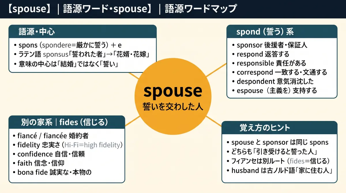 【語源で覚える】spouse｜フィアンセとは、実は親戚ではありません