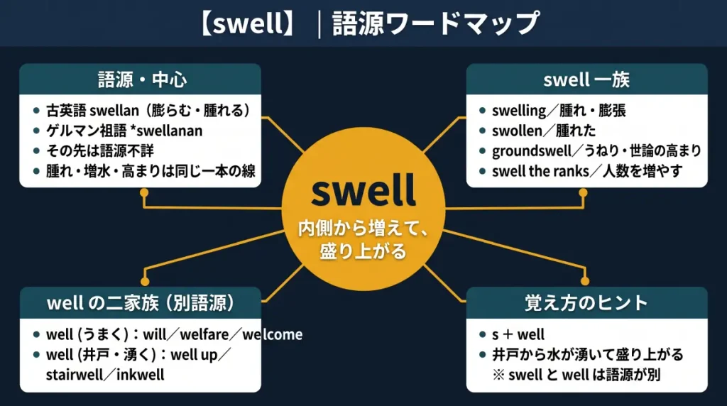 swell の語源ワードマップ。中心は swell（＝内側から増えて表面が盛り上がる）で、古英語 swellan に由来し、その先は語源不詳であることを示す図。swell 一族（swelling / swollen / groundswell / swell the ranks）、別語源である well の二つの家族（うまく＝will / welfare / welcome、井戸・湧く＝well up / stairwell / inkwell）、覚え方のヒント（s＋well＝井戸から水が湧いて盛り上がる。ただし語源は別）の4クラスタに整理している。