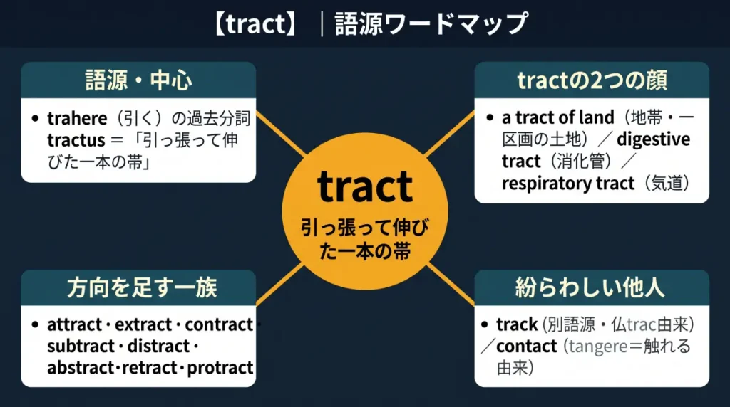 tract の語源ワードマップ。中心は tract(=引っ張って伸びた一本の帯)で、trahere(引く)の過去分詞 tractus に由来。tractの2つの顔(a tract of land=地帯・一区画の土地、digestive tract=消化管)、方向を足す一族(attract・extract・contract・subtract・distract・abstract・retract・protract)、紛らわしい他人(track・contact)の4クラスターに整理した図。